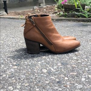 Steve Madden Heeled Booties